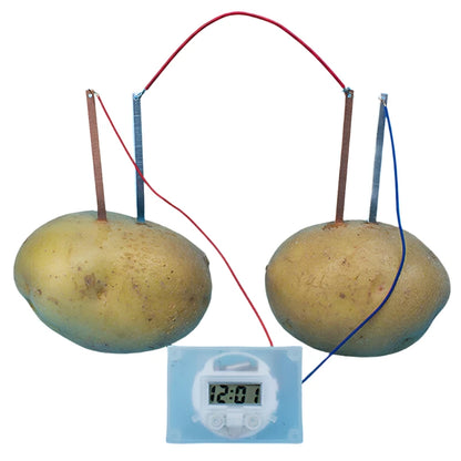 Potato Battery Clock Science Projects - GadWitch Toys